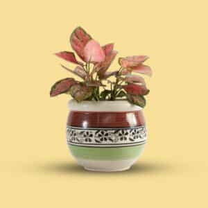 Round Bucket Planter